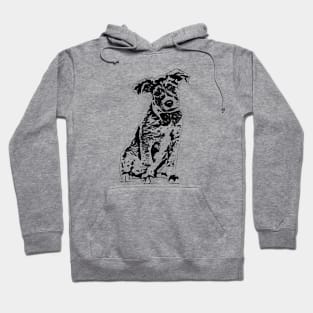 Jack Russel Hoodie